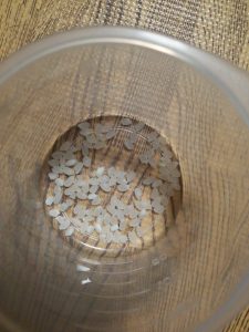 IMG_20160629_105105
