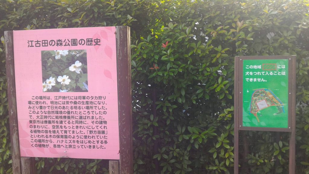 中野区の江古田の森公園へ行ってきた 近くのおすすめのお店も見てきたよ いろいろやってみる