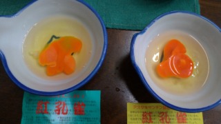 Thumbnail of post image 076