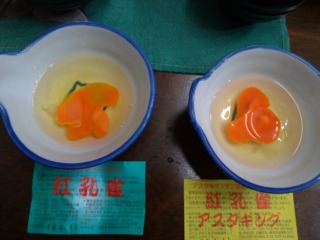Thumbnail of related posts 003
