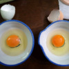 Thumbnail of related posts 111