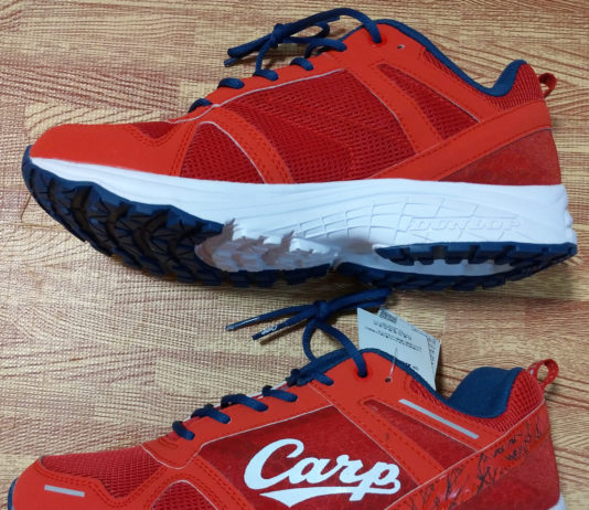 靴 衣類 いろいろやってみる