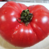 Thumbnail of related posts 004