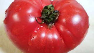 Thumbnail of post image 146