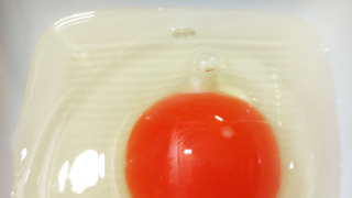Thumbnail of post image 186