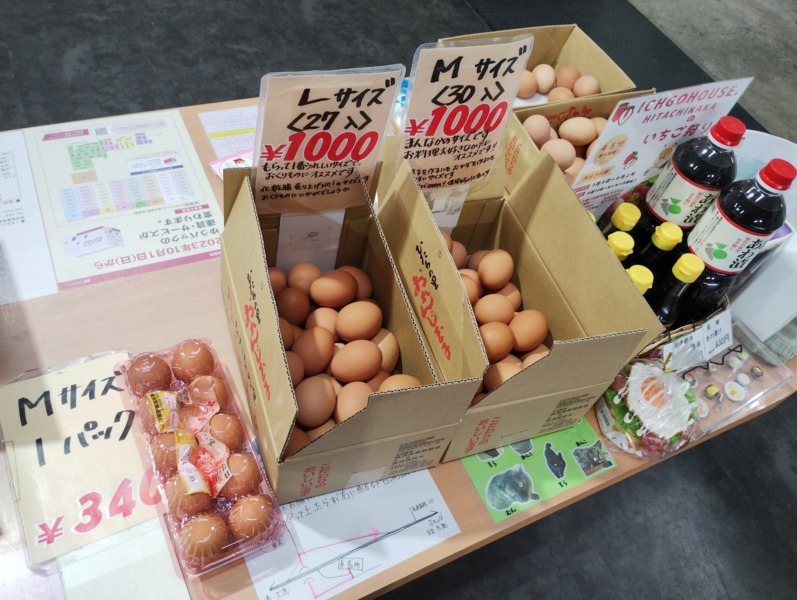ひたちの里おれんじ玉子の値段