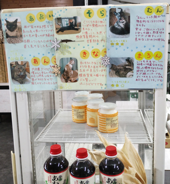 横須賀養鶏農場の猫紹介