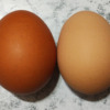Thumbnail of related posts 166