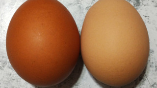 Thumbnail of post image 121