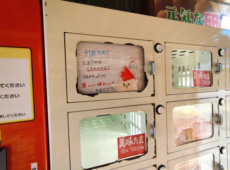 灯台たまごの特徴